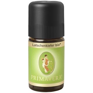 Latschenkiefer