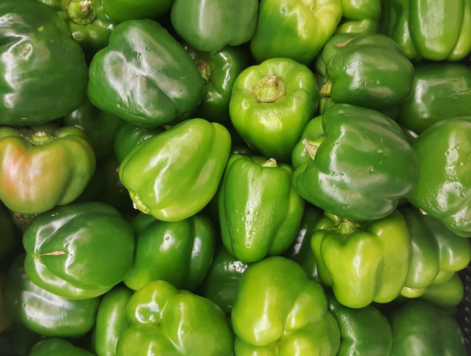 Paprika grün