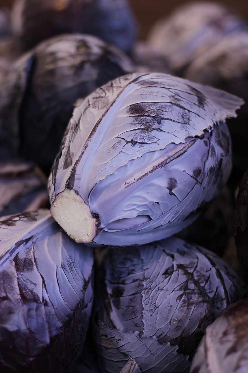 Rotkohl