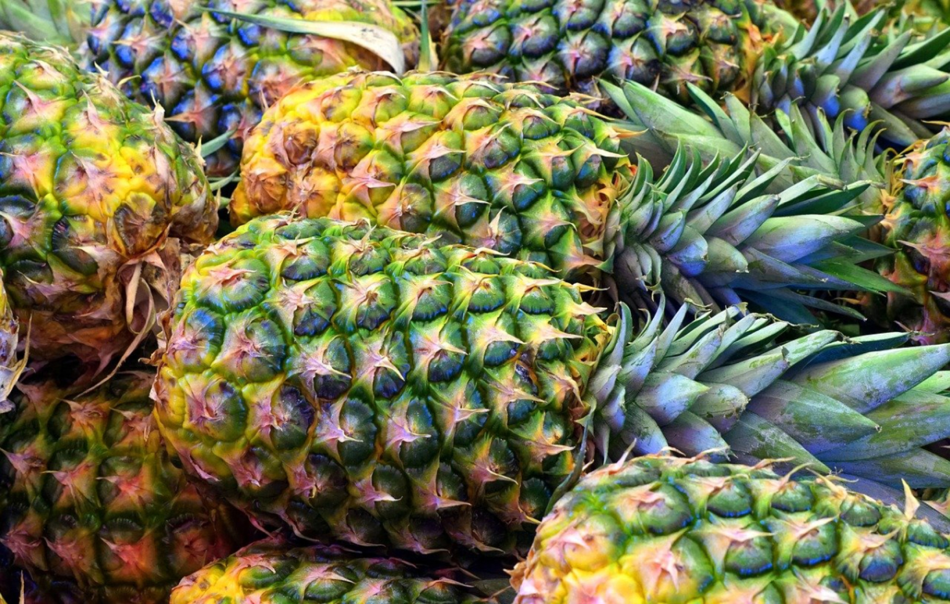 Ananas - fair -