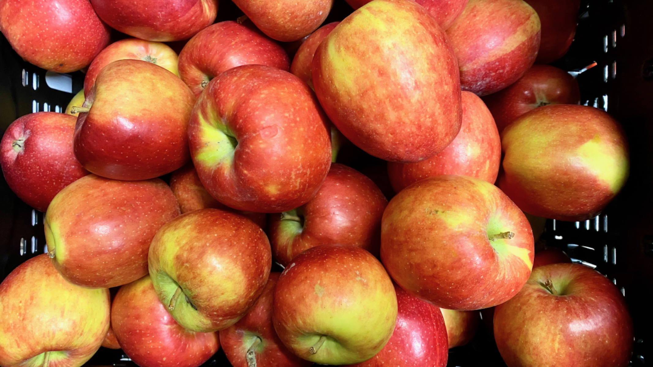 Apfel Braeburn