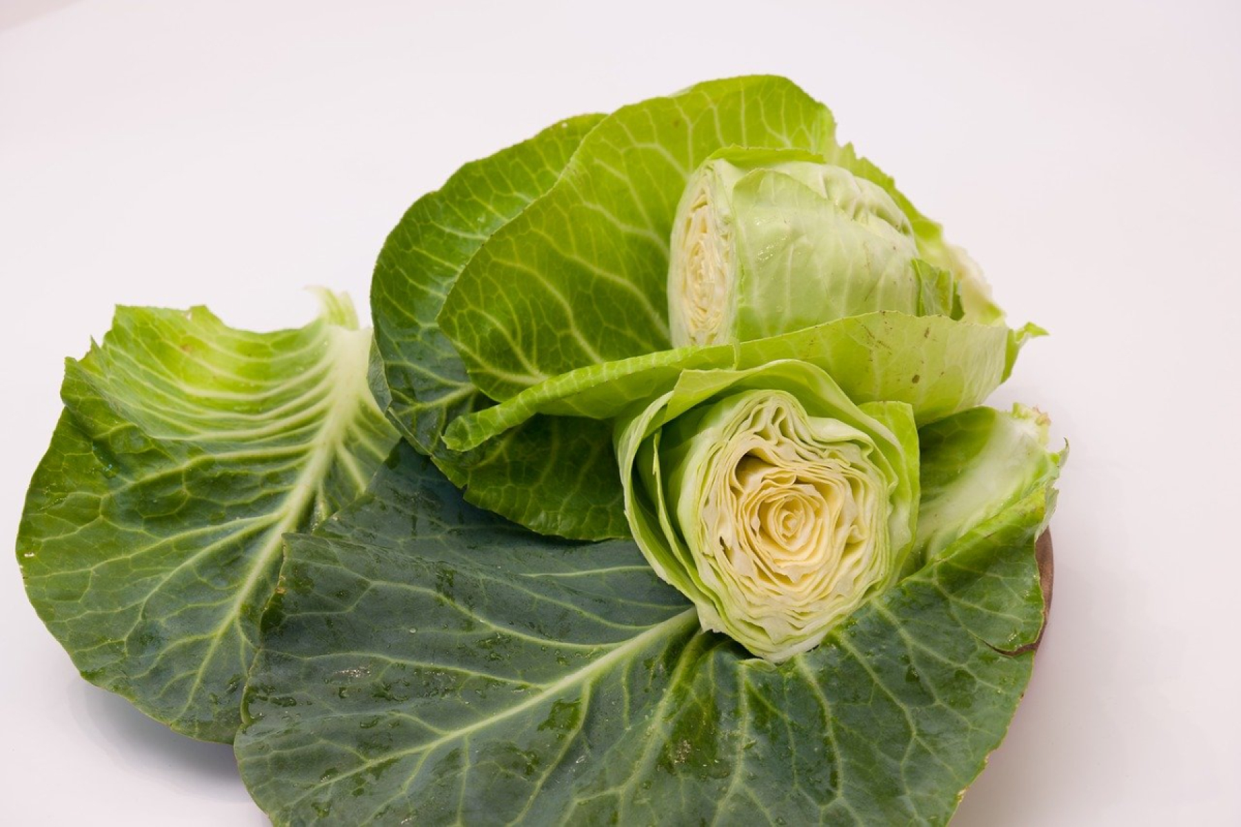 Spitzkohl