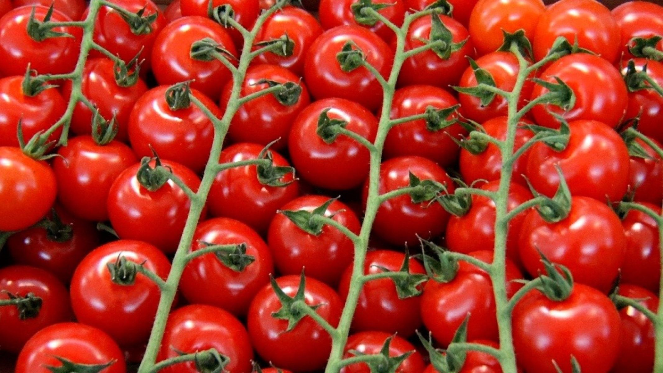 Cherrystrauchtomaten