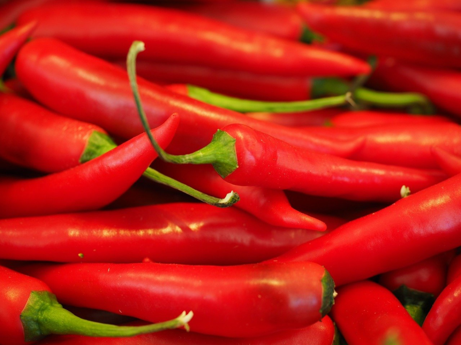 Peperoni/Chili