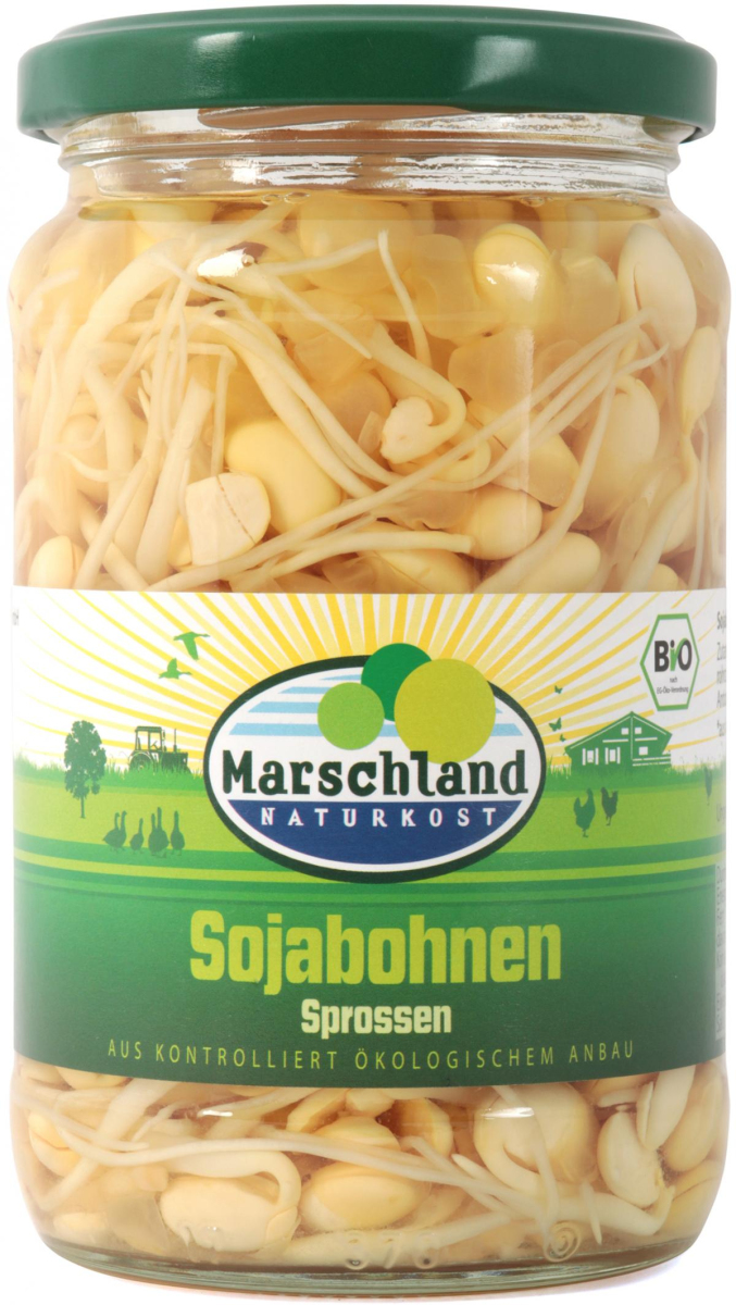 Sojabohnen Sprossen