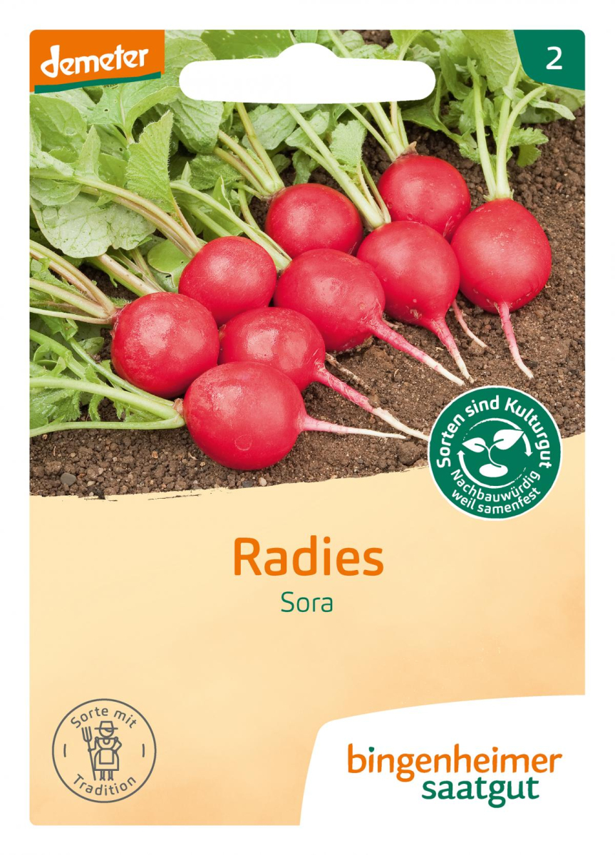 Radies Sora, Bingenheimer Saatgut