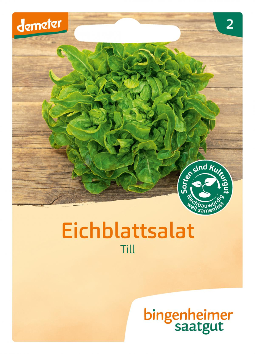 Eichblattsalat Till, Bingenheimer Saatgut