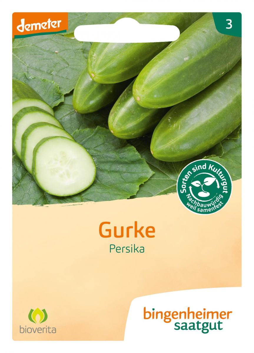 Freilandgurke Persika, Bingenheimer Saatgut