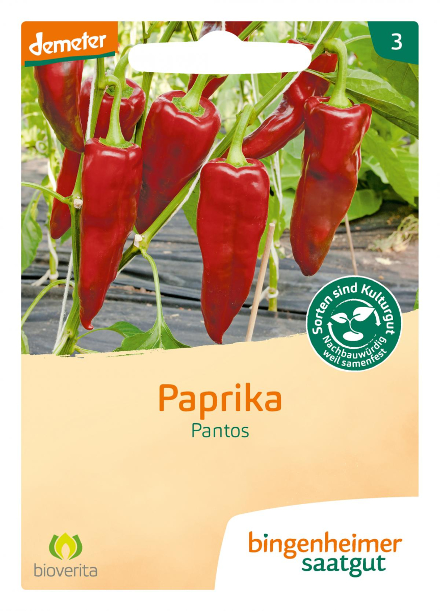 Samen Paprika Pantos