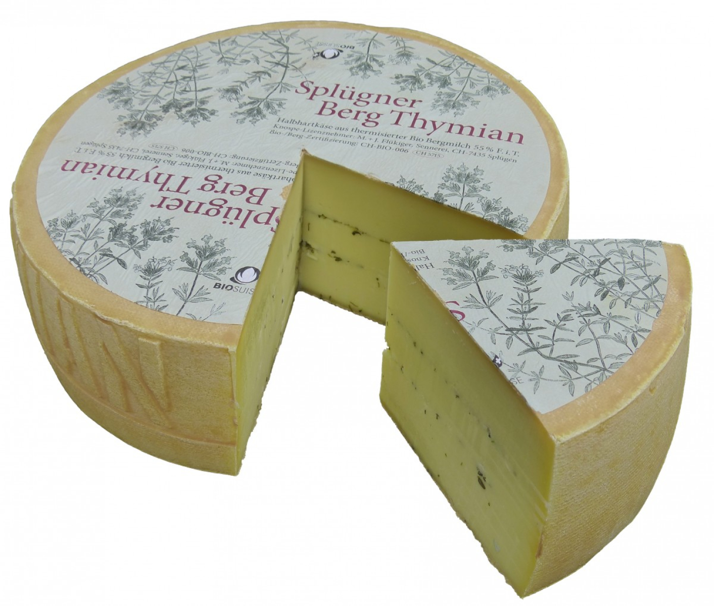 Splügener Bergthymian