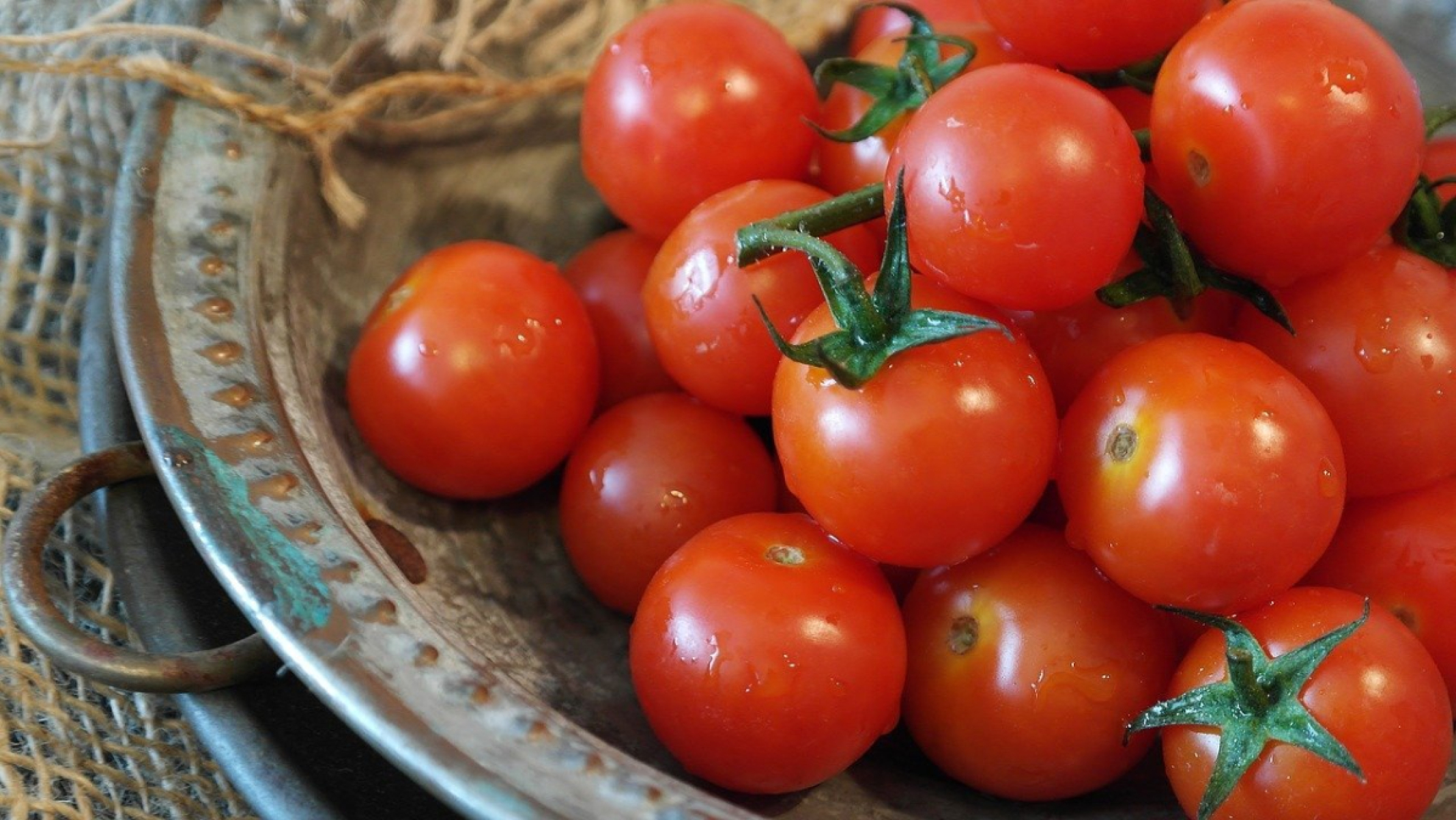 Tomaten aus eigenem Bio-Anbau