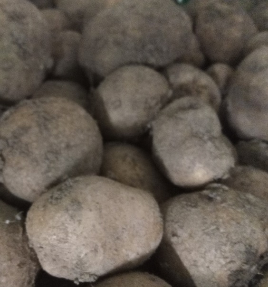 Kartoffel Granola aus eigenem Bio-Anbau