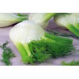 Fenchel