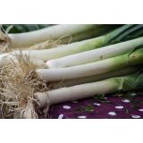 Porree / Lauch aus eigenem Bio-Anbau