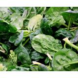 Spinat