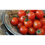 Tomaten aus eigenem Bio-Anbau