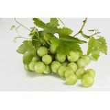 Trauben weiß