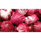 Radicchio