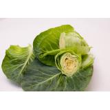 Spitzkohl aus eigenem Bio-Anbau