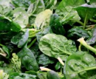 Spinat aus eigenem Bio-Anbau