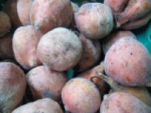 Gelbe Bete aus eigenem Bio-Anbau
