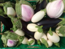 Aubergine aus eigenem Bio-Anbau