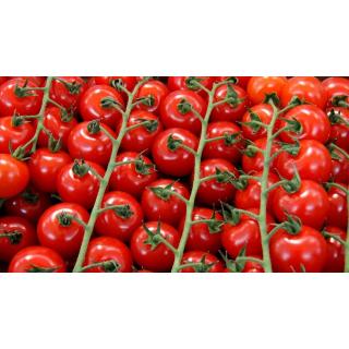 Cherrystrauchtomaten