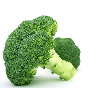 Broccoli aus eigenem Bio-Anbau