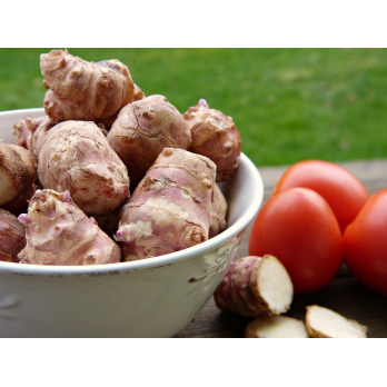 Topinambur aus eigenem Bio-Anbau