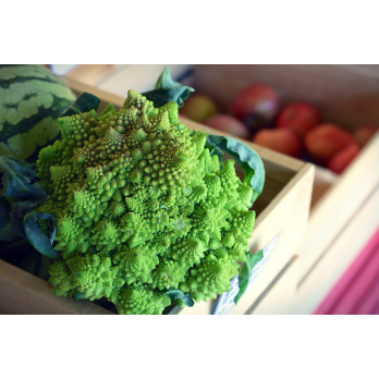 Romanesco