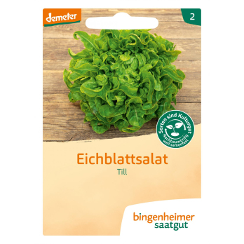 Eichblattsalat Till, Bingenheimer Saatgut