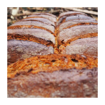 Roggen-Weizen Mischbrot