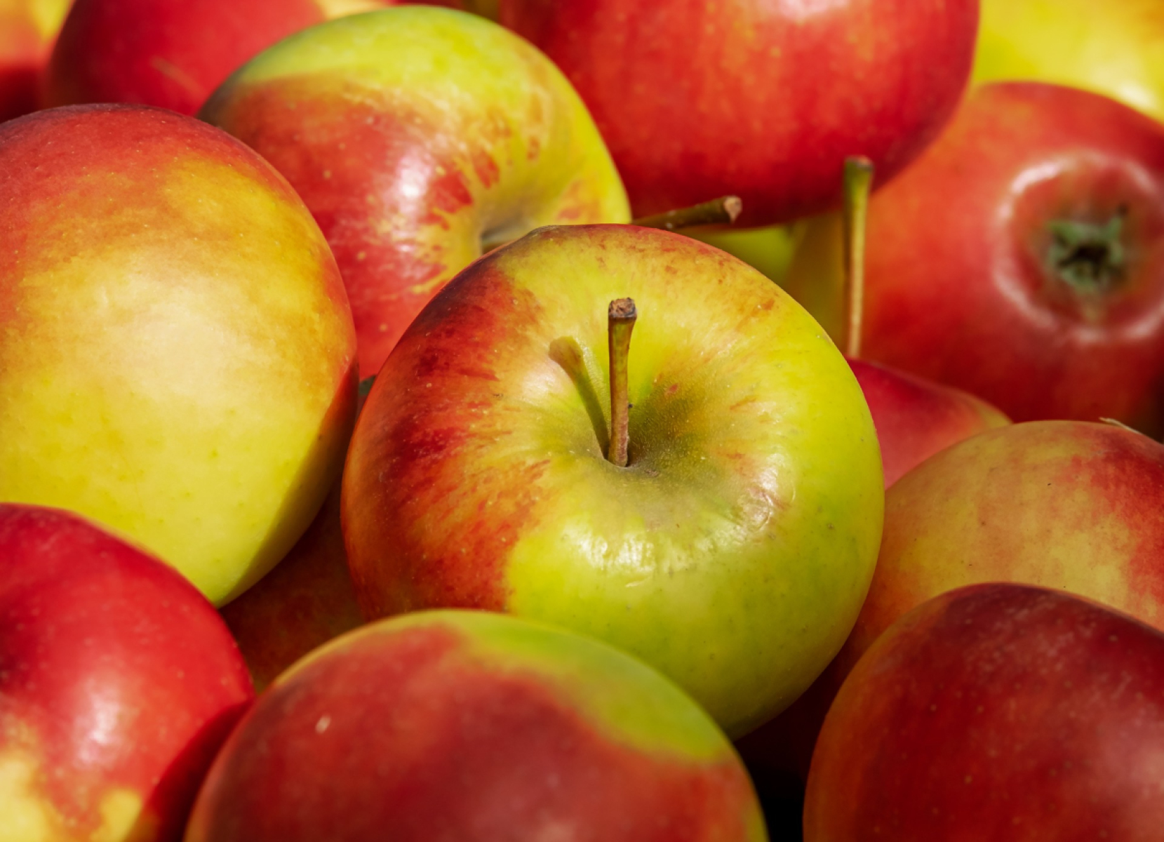Apfel Elstar