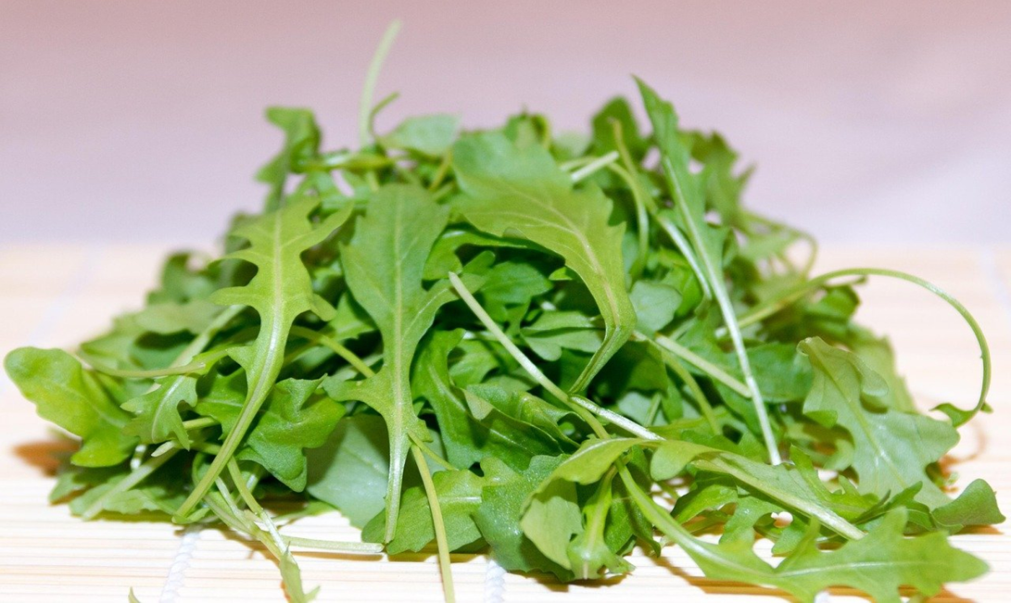 Rucola