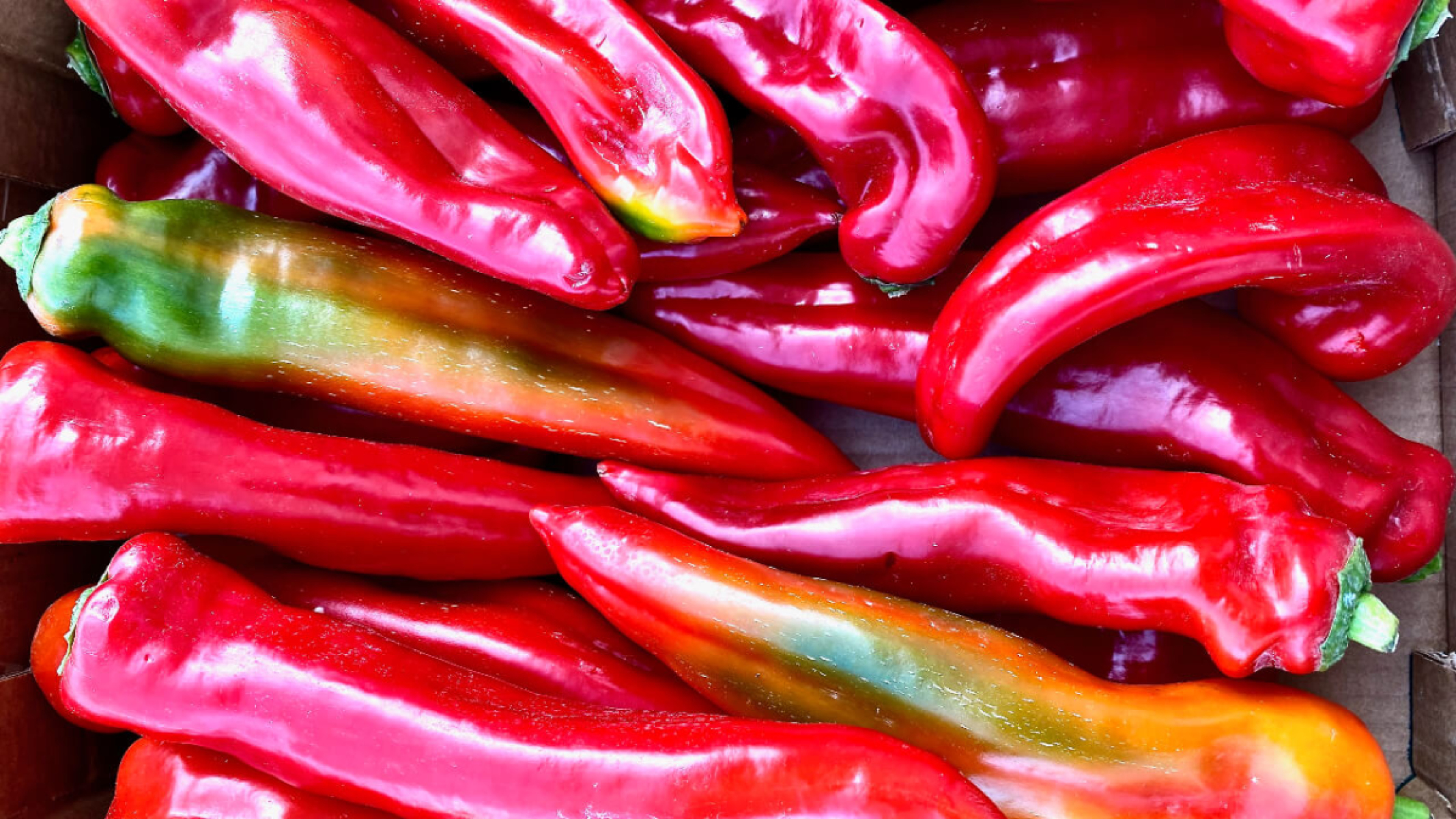 Ramiro Spitzpaprika