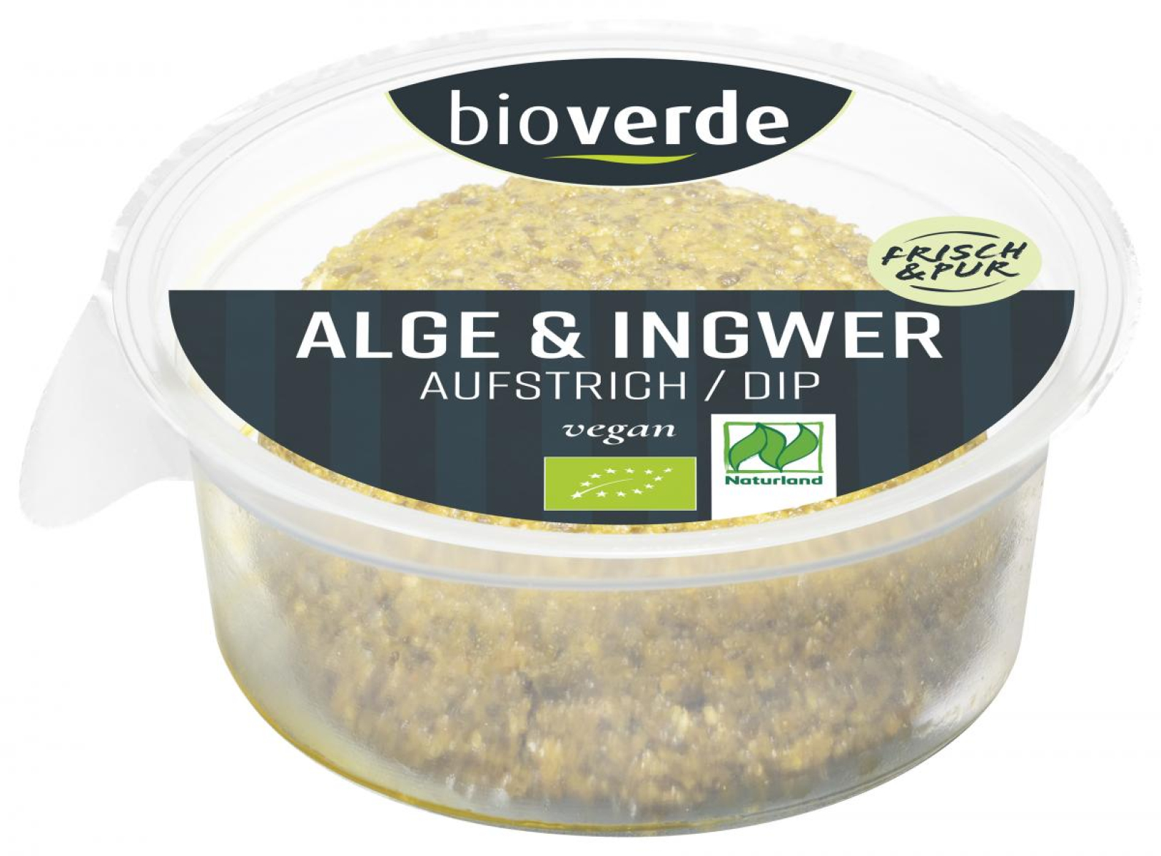 Alge & Ingwer