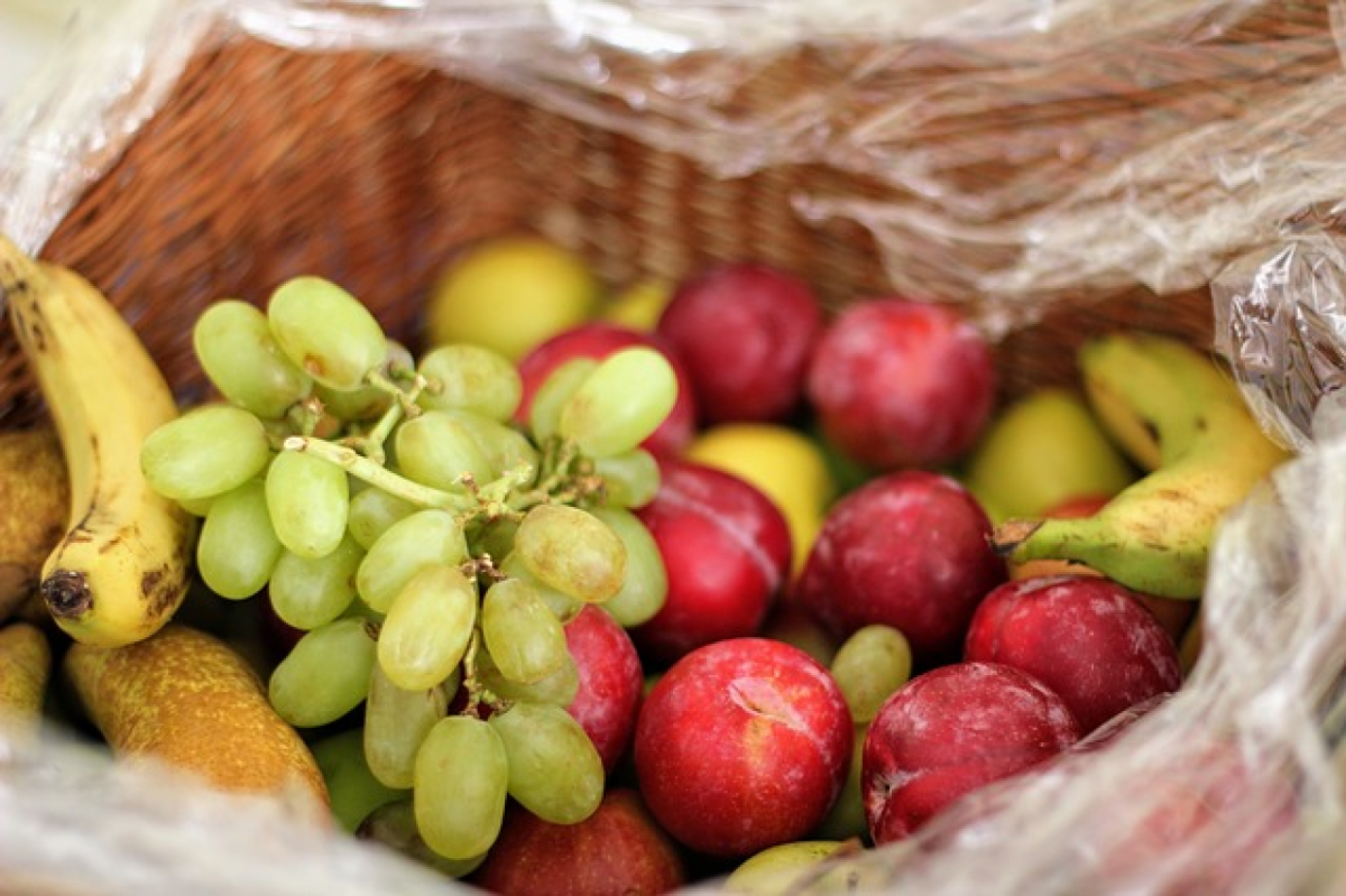 4 Sorten Obst für KW 33 - im Abo wöchentlich wechselnde  Zusammenstellung