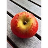 Apfel Cox