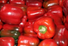 Paprika rot