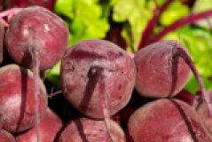 Rote Bete - aus eigenem Bio-Anbau -
