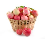 Äpfel diverse Sorten