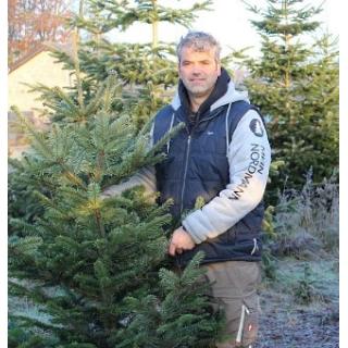 100 - 125 cm Nordmann Weihnachtsbaum
