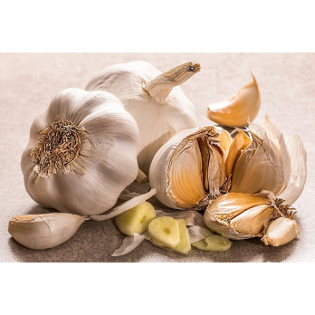 Knoblauch getrocknet