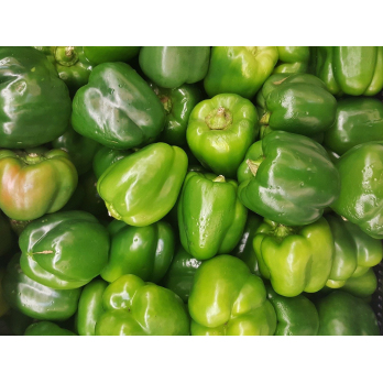 Paprika grün