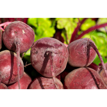 Rote Bete