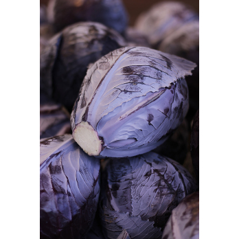 Rotkohl