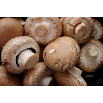 Champignons