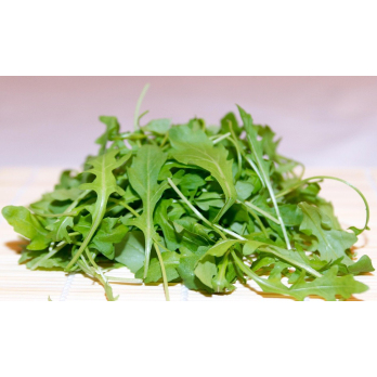 Rucola