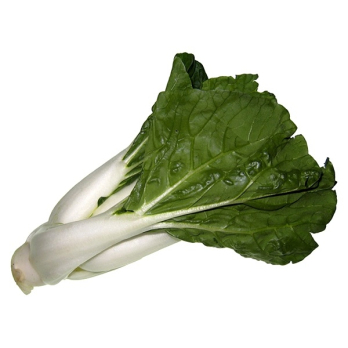 Pak Choy