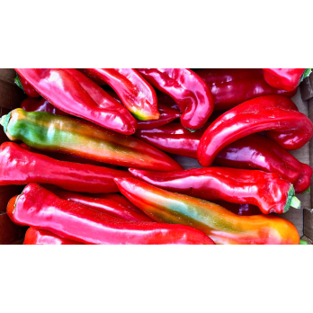 Ramiro Spitzpaprika